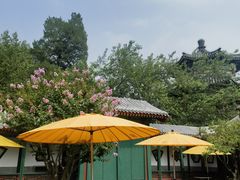 -宫事颐庭·老佛爷贵寿下午茶(颐和园店)