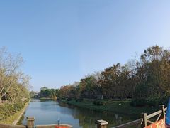 -上海海湾国家森林公园