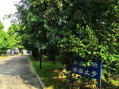 -中山市树木园