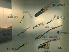 -青藏高原自然博物馆