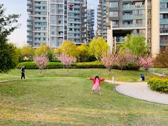 -经纬·泓汇地标家园