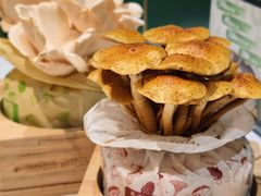 -烹然四季椰子鸡火锅(姚家园万象汇店)