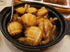 鲍汁凤爪焖中鲍-北海渔村酒楼·粤菜海鲜点心(新华店)