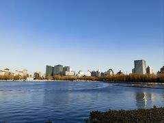 -莲花池公园