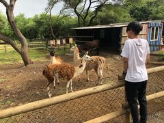-卡塞拉自然公园