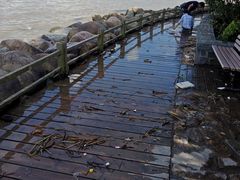 -吴淞炮台湾湿地森林公园烧烤区