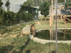 -泉州海丝野生动物世界