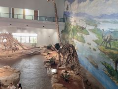 -自贡恐龙博物馆