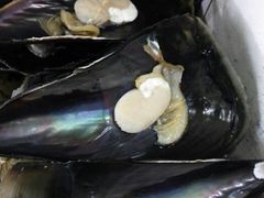 android_upload_pic-阿明烧烤·烤鱼·小龙虾(水清路店)