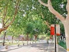 -山东大学(趵突泉校区)
