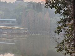-三水森林公园