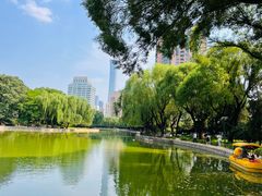 -团结湖公园