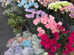 -循礼门鲜花花市(武汉循礼门店)