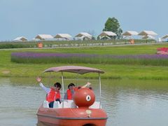 -空港花田景区