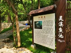 -灵溪风景区