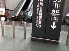 -虹桥机场国航贵宾室v8