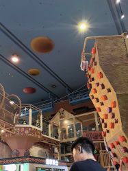 -卡通尼·Safari非洲探索乐园·生日会(金桥国际商业广场店)