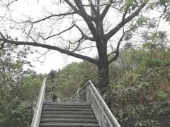 -佛山华盖山公园