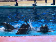 -福州罗源湾海洋世界旅游区