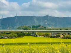 -光明小镇欢乐田园