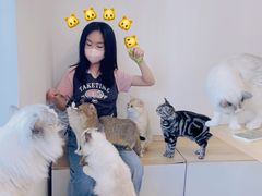 -有喵·猫咖·狗咖·30几只猫10只小狗(岗厦店)