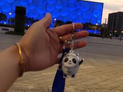 -水立方嬉水乐园