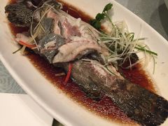 -骏莱海鲜鱼港(五角场店)