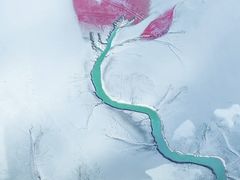 -塔斯汀中国汉堡(青浦宝龙广场店)