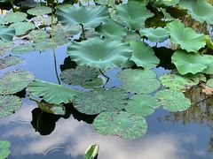 -颐和园