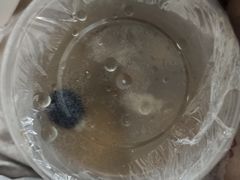 -红蕃干锅·脆皮香辣虾(南屏街金鹰店)