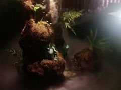 -泰之源足浴会所(玉环店)