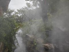 -大伊山景区