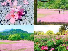 -福建鲤鱼洲酒店