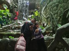 -多彩贵州城极地海洋世界