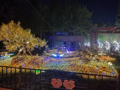 -洛阳市隋唐城遗址植物园