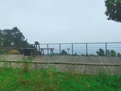 -缙云山景区