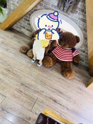 -金色童年儿童摄影(中海店)
