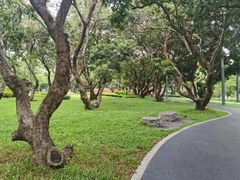 -四海公园(南山区)