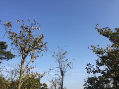 -仙岳公园