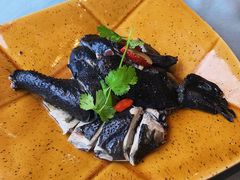 药膳鸡-沙龙酒家