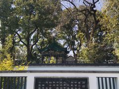 -古琴台