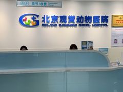 -北京观赏动物医院·24小时大型综合·猫专科·异宠专科