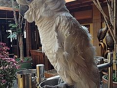 iphone_upload_pic-那家小馆•北京菜•烤鸭(香山店)