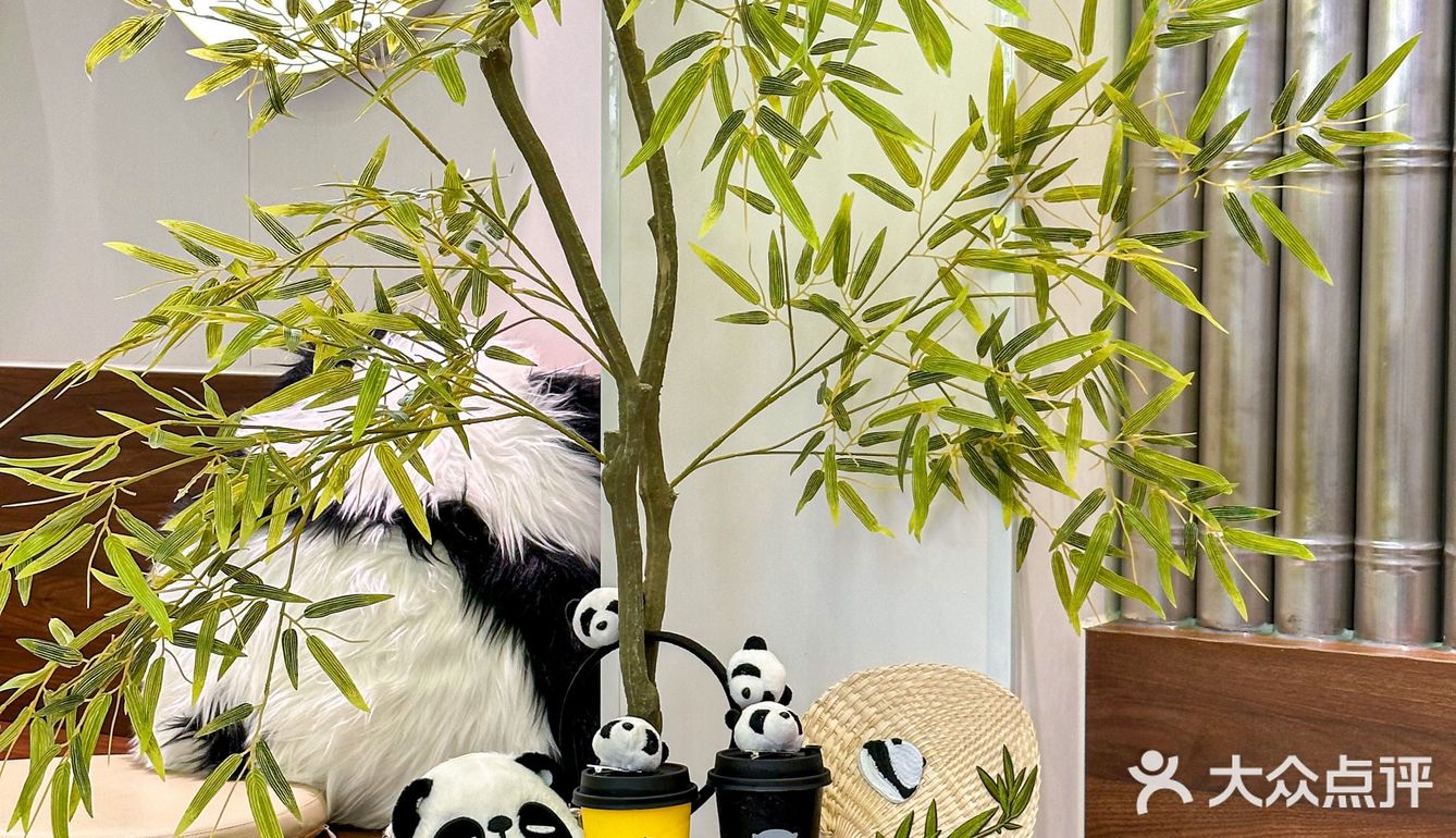 超Q熊猫鲜果茶，养生星人不二之选[色]好喝！