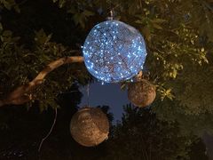 -T館·花园艺术餐厅