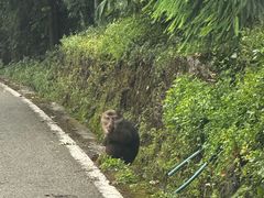 -西岭雪山大飞水景区