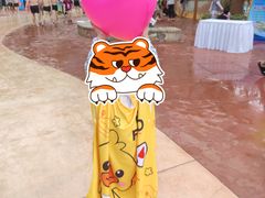 -武汉玛雅海滩水公园