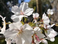 -九里河湿地公园