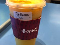 -春丽小马(济南恒隆广场店)