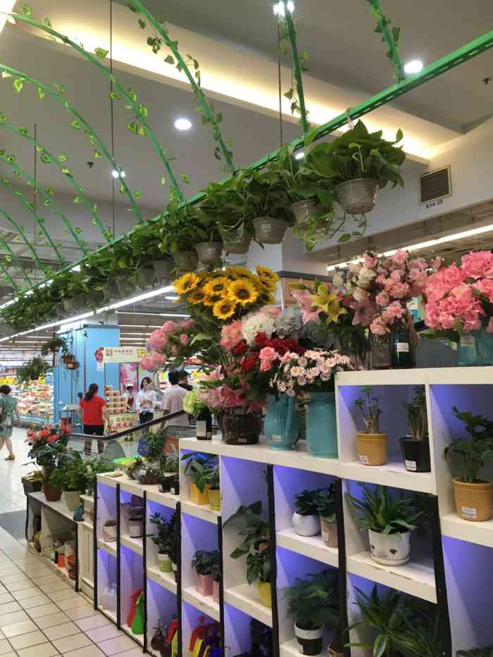 一水间(大宁店)-"三条点评任务,那正好开个vip花店点评任.